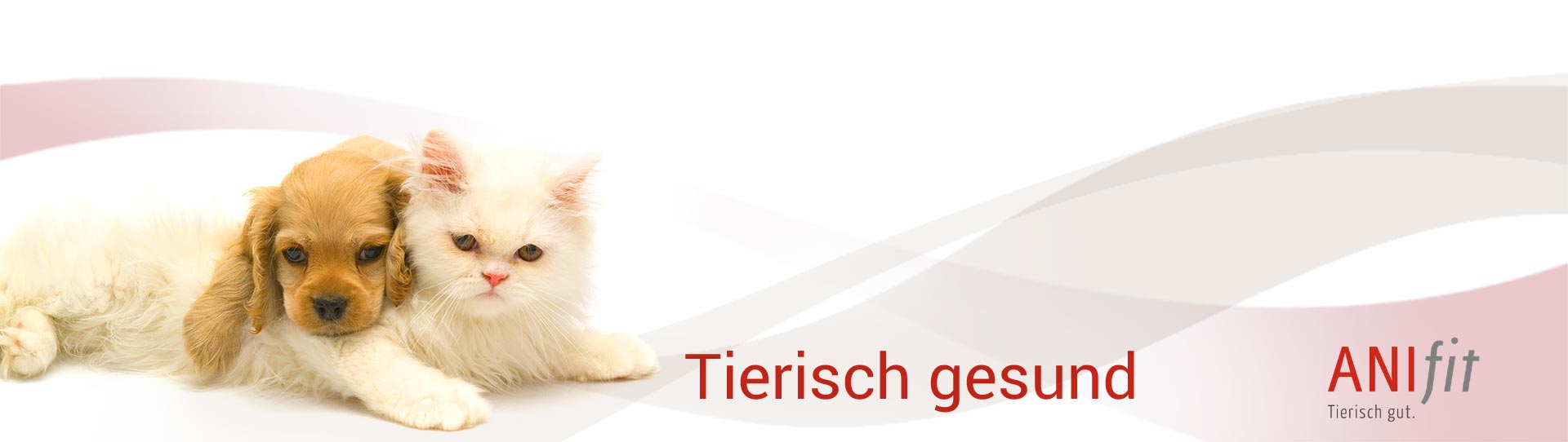 Www Naturbelassene Tiernahrung De Hundefutter Katzenfutter Von Anifit